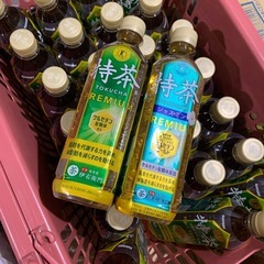特茶24本