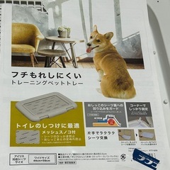 【美品】トレーニングペットトレイ　ワイド　ワンちゃん用　犬用　ペット用の画像
