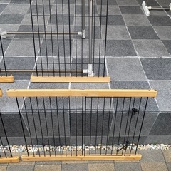 サークルの画像