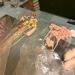ドライフラワーの画像