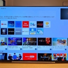 55&32インチテレビセット　有機EL液晶REGZA  LED液晶BRAVIA
