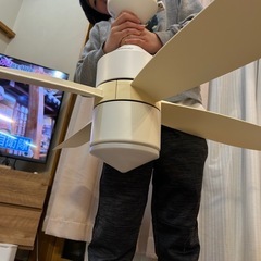 中古　白シーリングファン　114cmの画像
