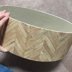 爪研ぎの画像