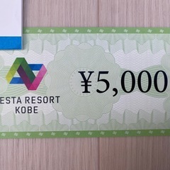 ネスタリゾート神戸　金券