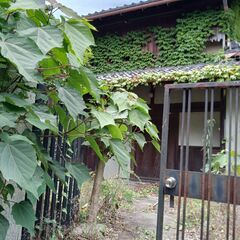 どうしようもない古い家を持て余している人、当事務所が引き取ります。