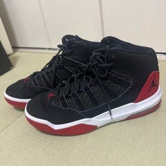 ジョーダン マックス オーラ ジュニアシューズ バッシュ 25cmの画像