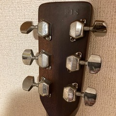 アコースティックギター　Morris W-20の画像