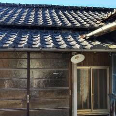 4年後に差し上げます！