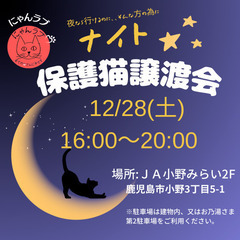 にゃんラブ保護猫譲渡会
