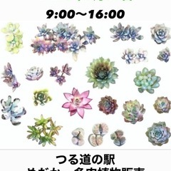多肉植物出店者様募集中