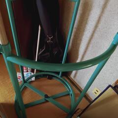 【受け渡し決定】たくさんかけれる 衣類 収納 ラック ハンガーも何個かおつけします♪の画像