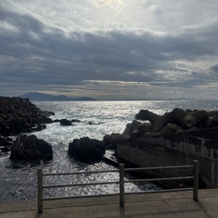 【新鮮！】八朔(はっさく)約2kgの画像