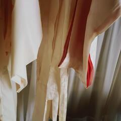 着物 肌着？ まとめ売り お得 レディース 女のコの画像