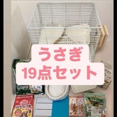 うさぎセット