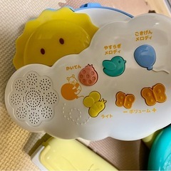 プーメリーの画像