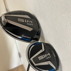 GSTV PT950ネックレス フニッシュピン