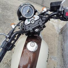 Volty　ボルティー 250cc スズキの画像