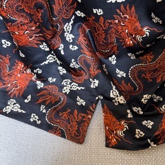 ZARA ドラゴンワンピースの画像