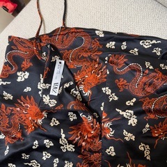 ZARA ドラゴンワンピースの画像