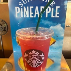 公認バレーボールコーチ１練習指導いたします。ソフトも可能