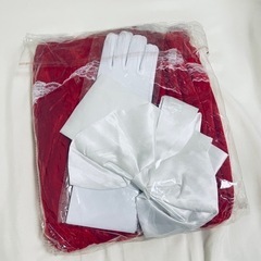 【新品】ワケあり サンタコスバニー5点セット ワンピース クリスマス コスプレ の画像