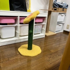 猫 爪とぎの画像