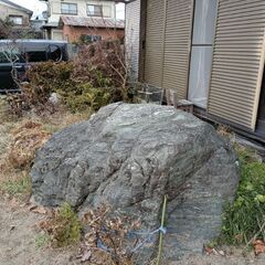 庭園岩