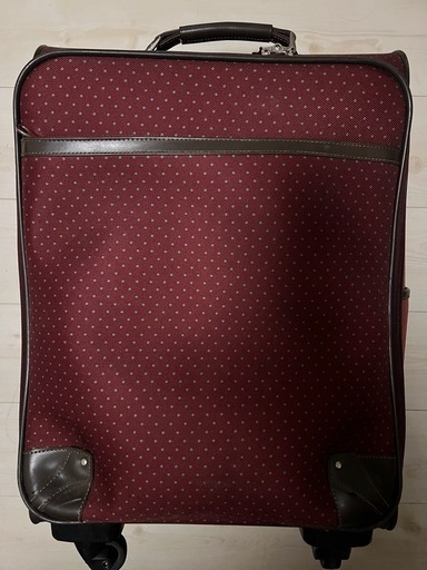 ACE 布製キャリーケース22L ボルドー