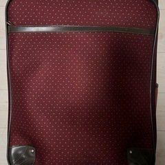 ACE 布製キャリーケース22L ボルドー