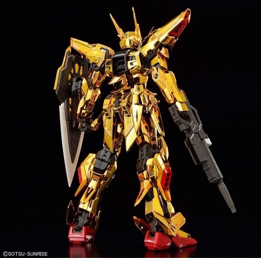 【新品未開封】RG 1/144 アカツキガンダム(オオワシ装備)