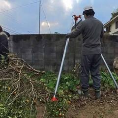 【伐根】キンカンの木の根っこ除去依頼作業行ってきました。 - 宮若市
