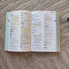 中学英和辞典 カラー版の画像