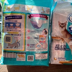 猫用マナーウェアの画像