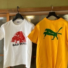 Tシャツ２枚セット