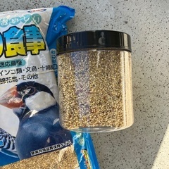 小鳥の餌の画像