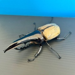 ヘラクレスヘラクレス♂【完売御礼】の画像