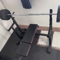 セーフティ付きベンチプレス(ベンチとダンベル二つ付き)