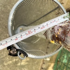 傘立て(商談中)の画像