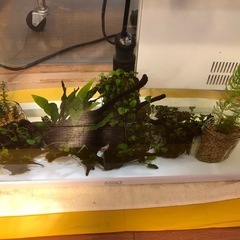 60cm,   50cm 水槽セット特製台付きの画像