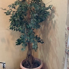 【差し上げます！】観葉植物　造花　人工