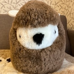 日本ムートン 羊 メーちゃん 勝友美さんの画像