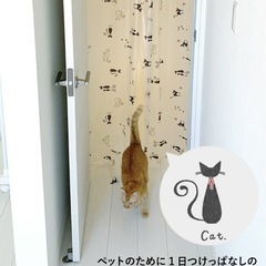 3/23(日)限定値引きあり本文☆【新品未開封】間仕切りのれん　ネコ柄　90×250の画像
