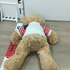 1222-013 ティディベアの画像