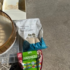 ハリネズミ飼育セットの画像