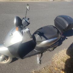 商談中　茨城ホンダトゥデイAF67 2010 3500km 50cc 原付の画像