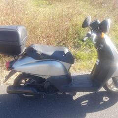 商談中　茨城ホンダトゥデイAF67 2010 3500km 50cc 原付の画像