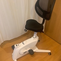 FLEXISPOT フィットネスバイク Sit2Go 2-in-...