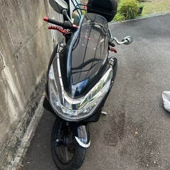 PCX JF56の画像