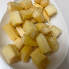 サトウキビの画像