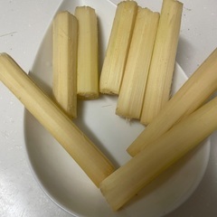 サトウキビの画像
